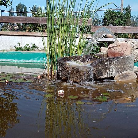 B&B La Gioiosa Assisi Ngoại thất bức ảnh
