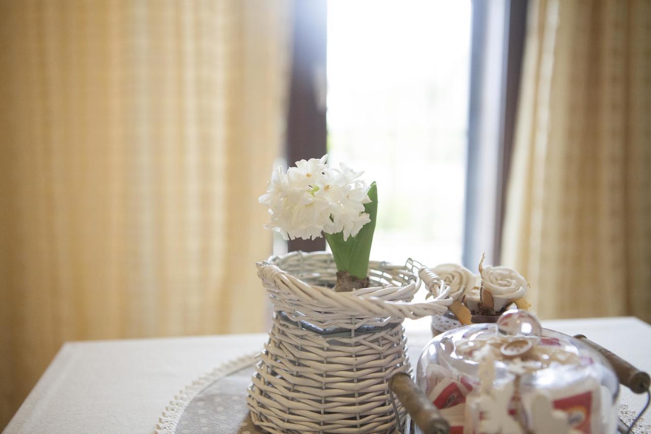 B&B La Gioiosa Assisi Ngoại thất bức ảnh
