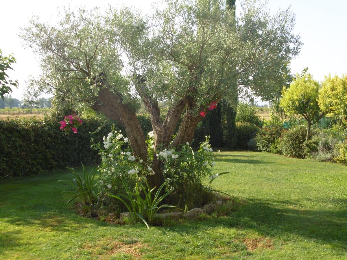 B&B La Gioiosa Assisi Ngoại thất bức ảnh